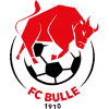 https://img.yiqiad.com/img/football/team/b201265fa89720bf8cd8ef95549a4738.png